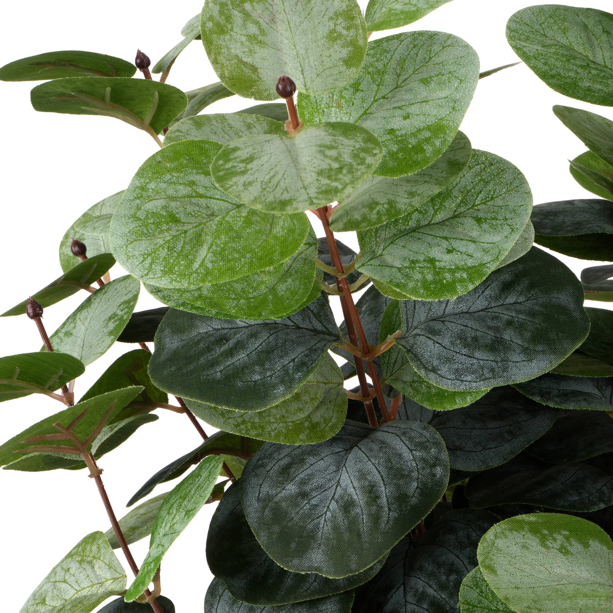 24" Green Eucalyptus Deluxe Bush by Ashland®